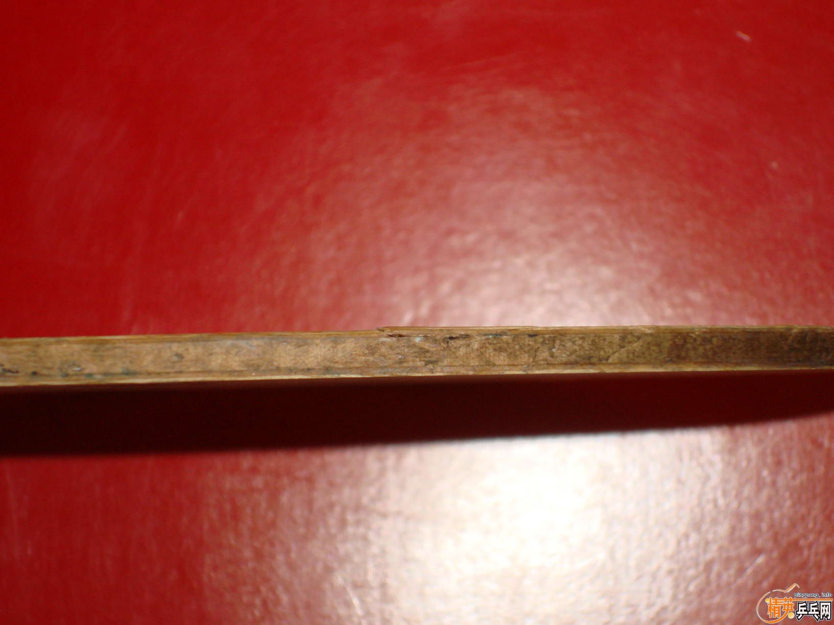 ������С����FL������µġ����������