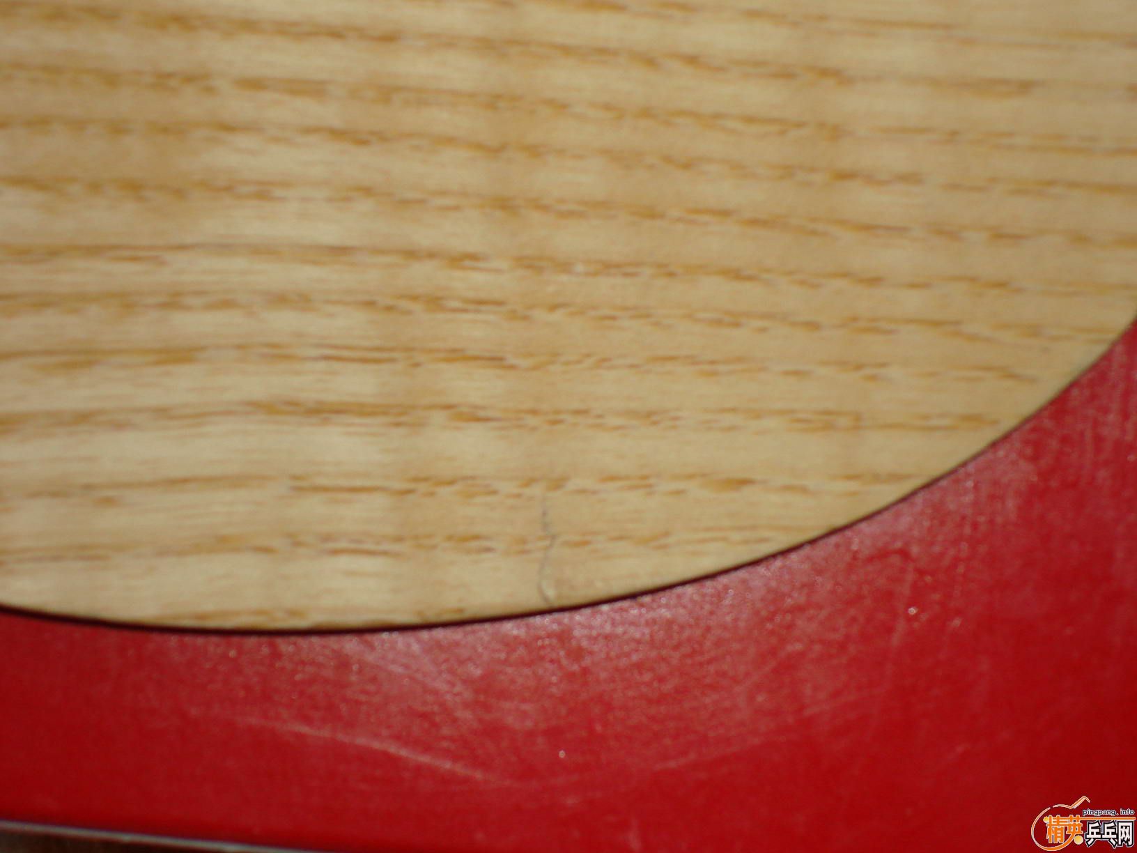 ������С����FL������µġ����������