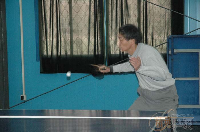 [��ͼ]2��4�վ�Ӣ�������ֲ������ڡ���˹�ر���������ʵ