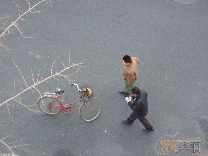 ץ�ġ���ͨ�¹ʡ�