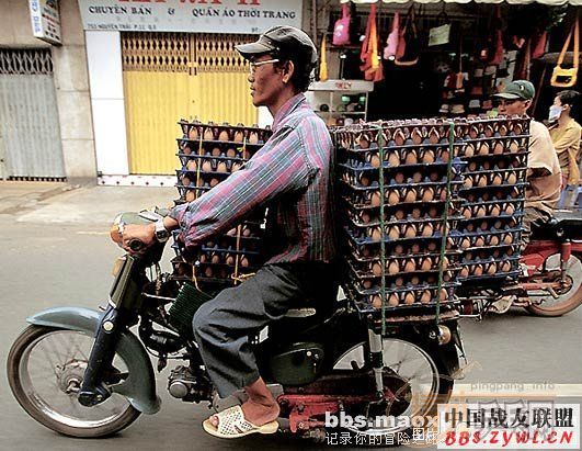 ȫ��۲���ɽ����Ա�ĳ���