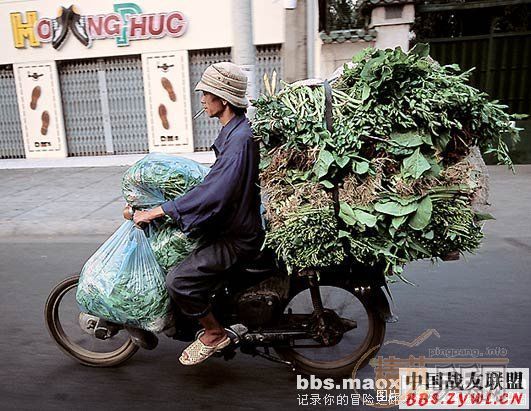 ȫ��۲���ɽ����Ա�ĳ���