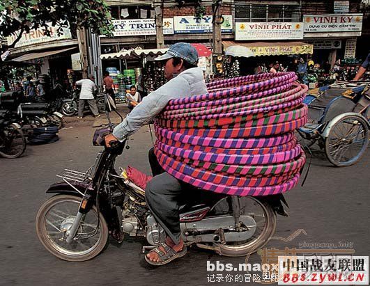 ȫ��۲���ɽ����Ա�ĳ���