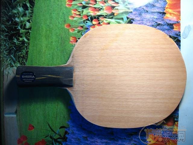 �ϰ�YE��ֱ�ģ�ϣ����һ�鳬��C����