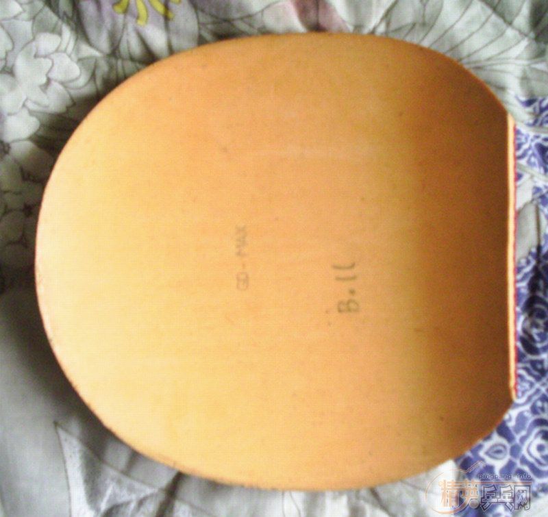 320��(��EMS)��һ�׿Ʊ���FL���ӽ�!