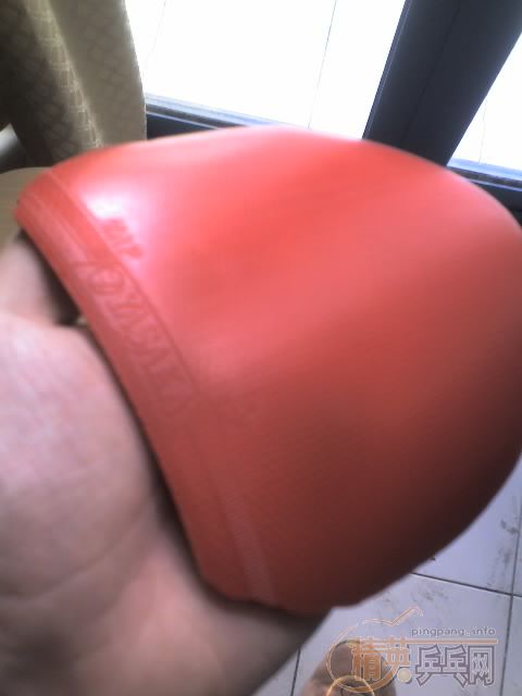 250����ݳ�H-LG������