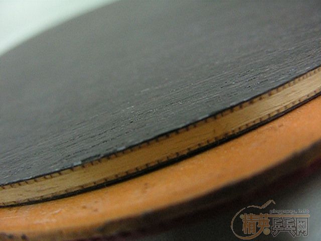 ����95���¡�����5ľ��Ȧֱ�塻