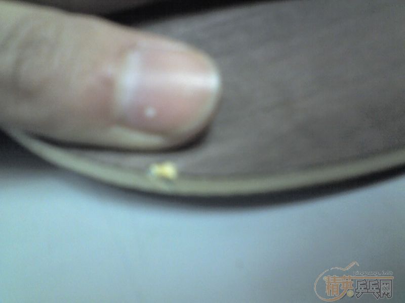 ���ģ���OC��EG��NP500��ALPHA���ߵȣ�