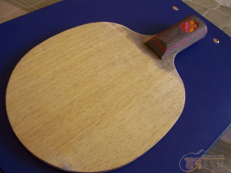 taksim(��������500���죬֧��������