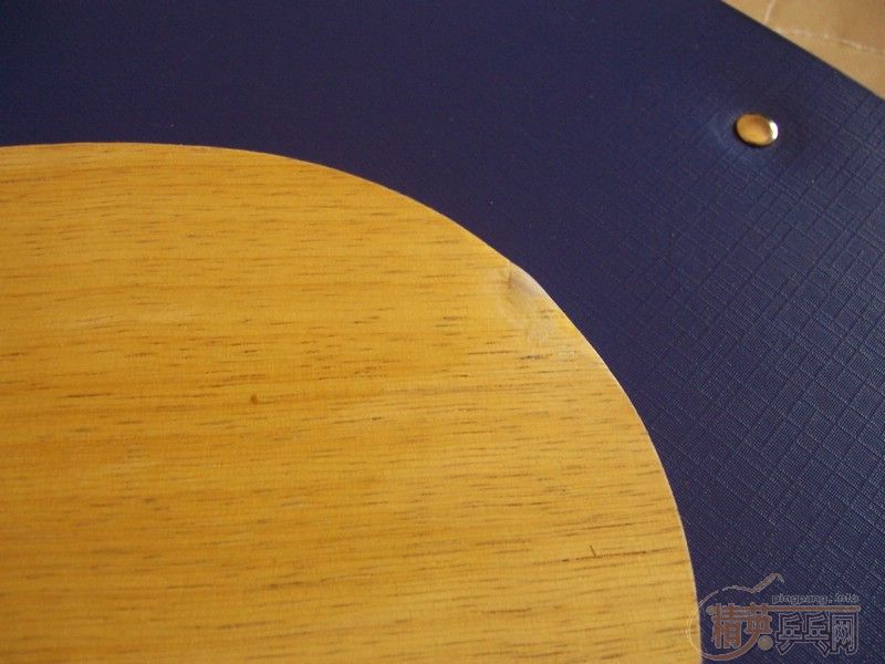 taksim(��������500���죬֧��������