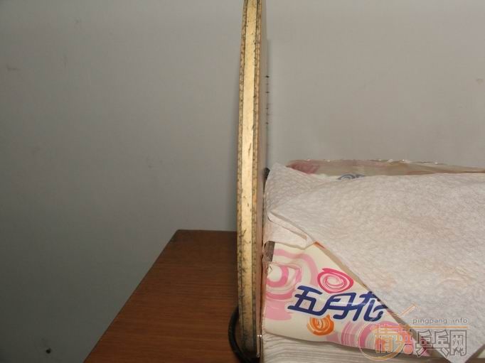 ST330����ݳ���JOOLA/ROSSKOF CARBON