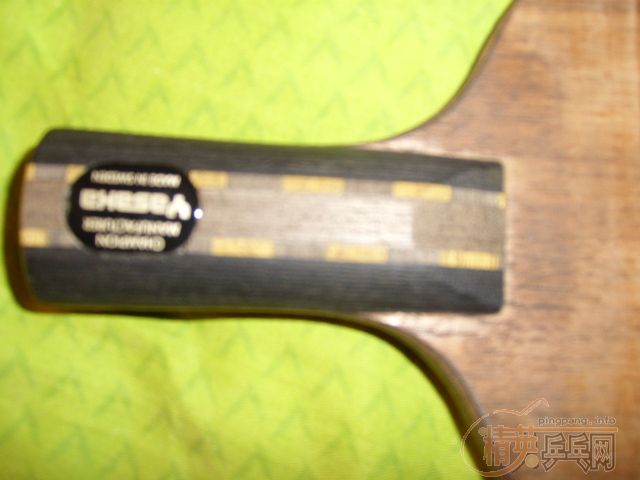 YASAKA17��300��