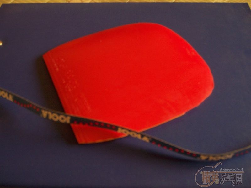 ���µ�����8 220�����ˣ���Ѫ�۸��