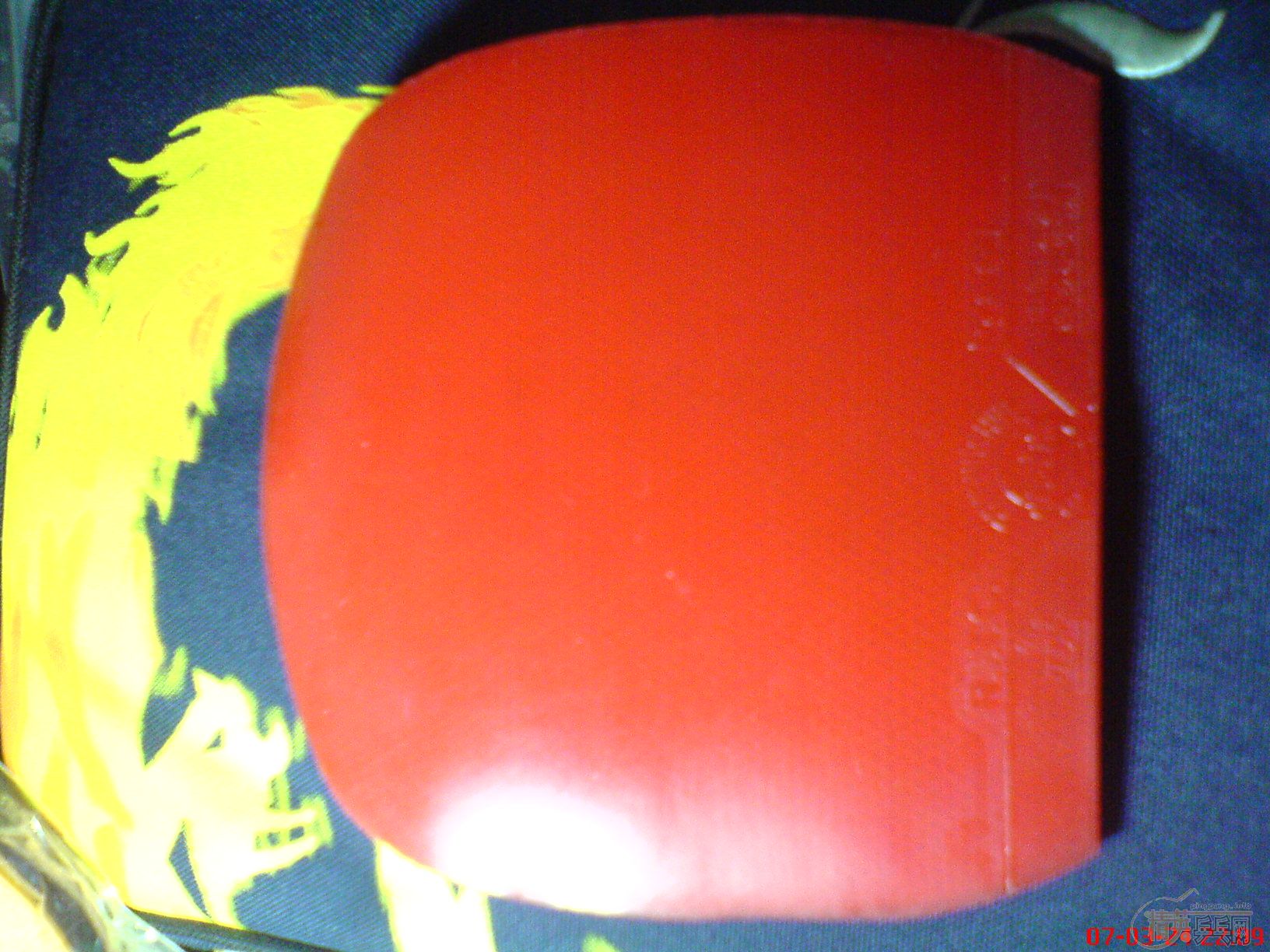 ���ӣ�������ֱ����һ�ѽ�Ƥ����