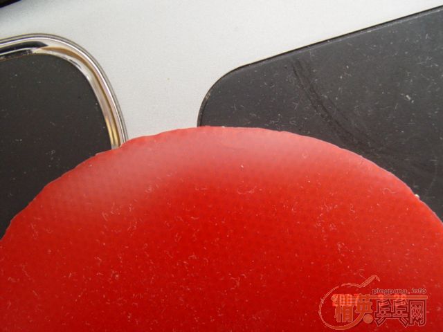 ���µ�EL��HOMMAND,�������200����!!!