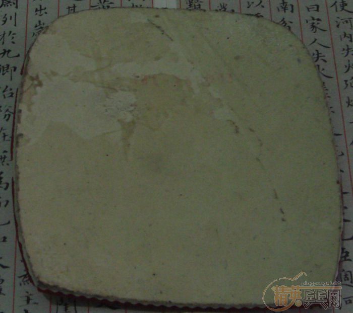 ֱ׽DONIC/F1FD60ݻƹ