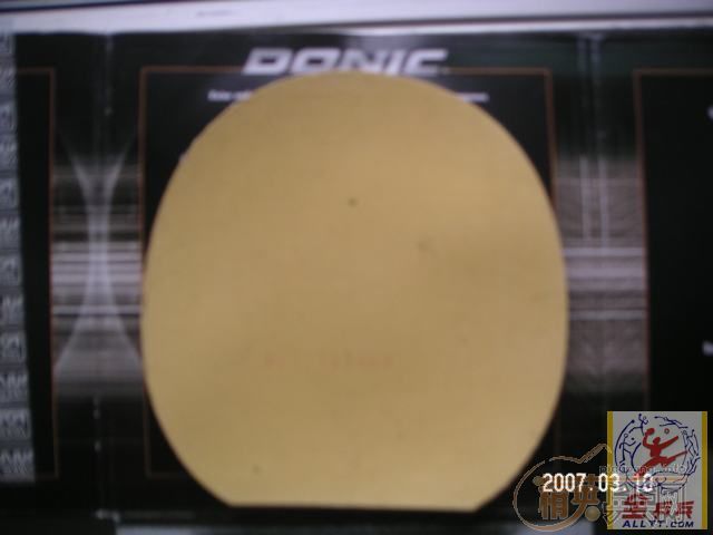 ���������׽���