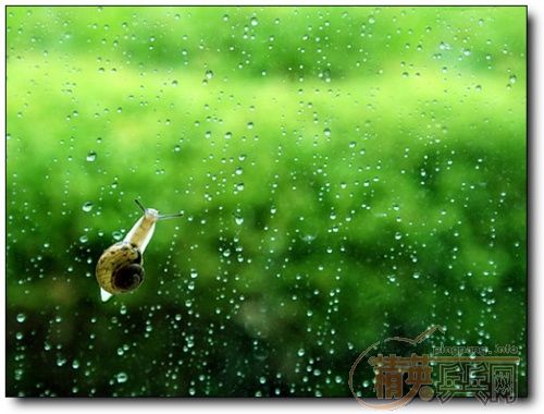 ��������ϼ�Ĩ��ɫ��