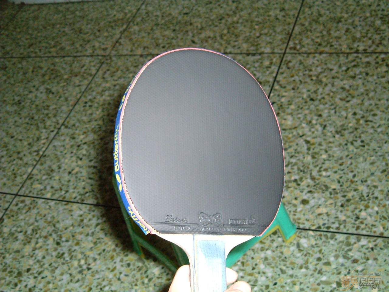 boll st ƷָУݴ