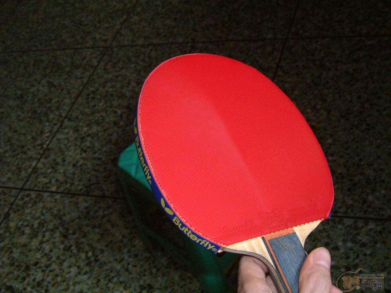 boll st ƷָУݴ