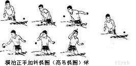 �����Ŷ���ͼ���ҹ���