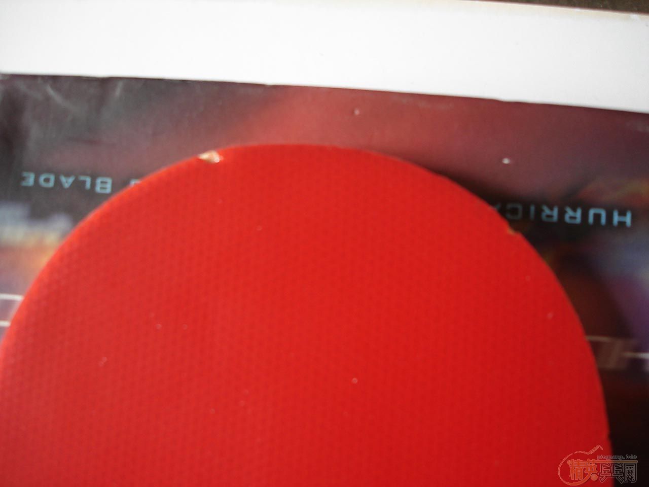 �����������ֵ��׽���LKT pro xp����������