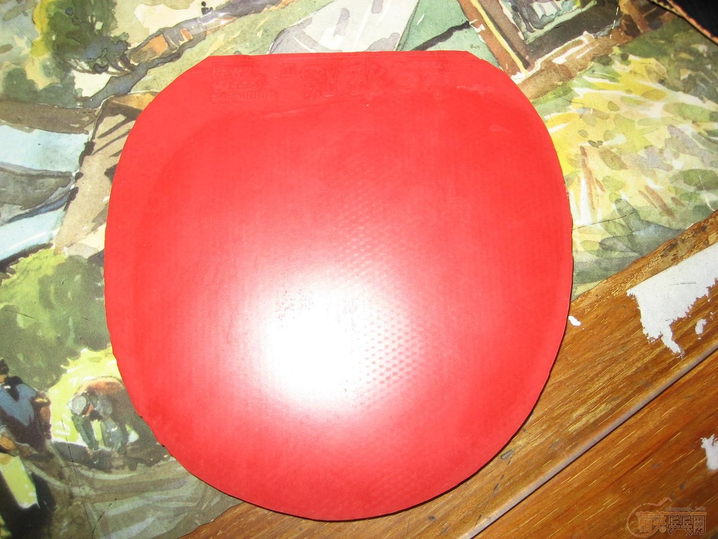 ����ͼ�����˳��飹�����µģΣУ�������FL,���ſ񣲺죳�����׽�һ��