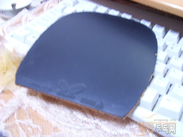 ��һ��YASAKA17��