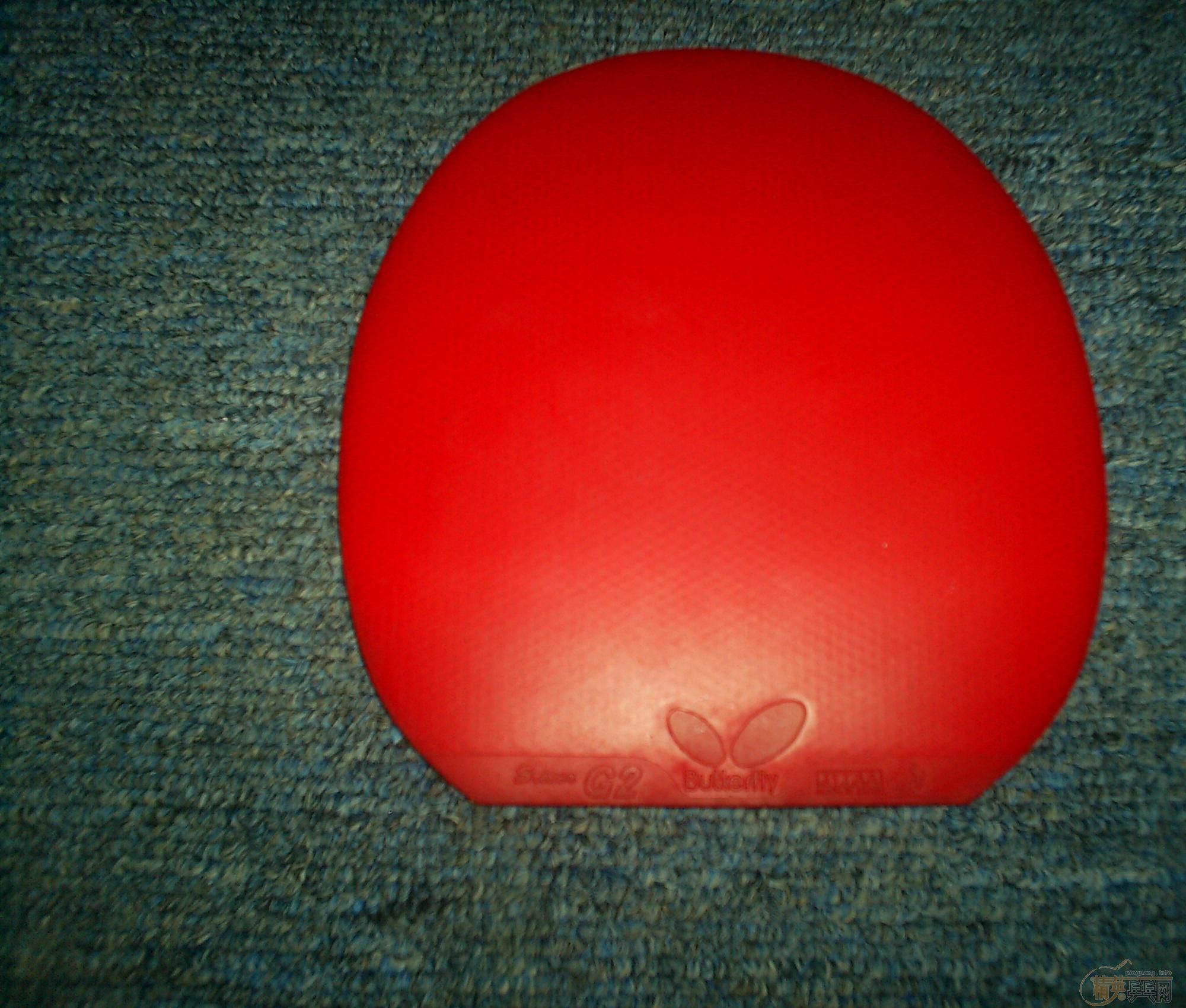 ֧9.5YE7׺콺Ƥ  +   G2   300