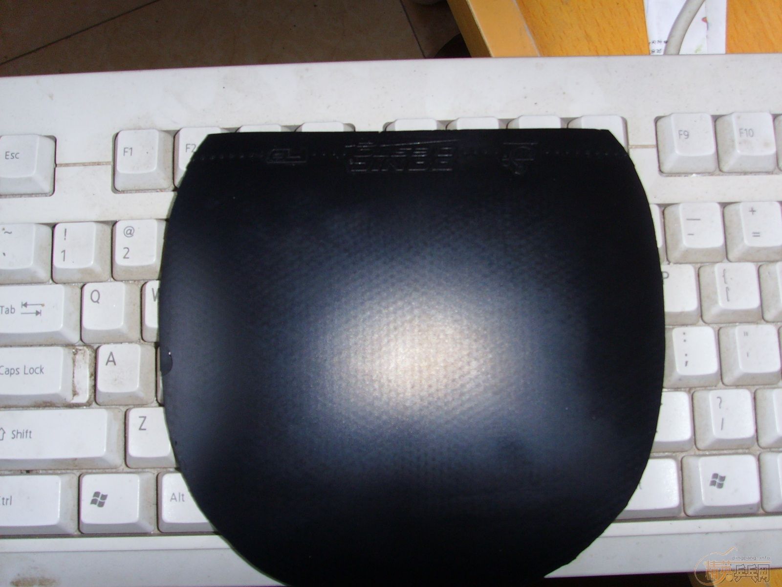 ����KKT D100��EL.F1���׽�,�۸�����