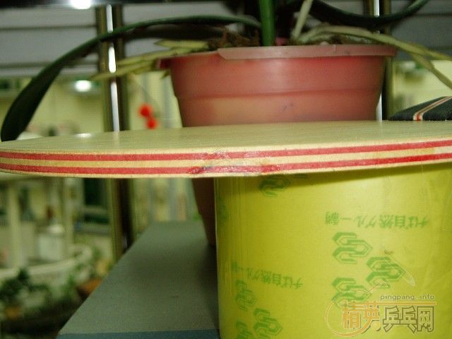 ���������ӡ����齺Ƥ�����꣡