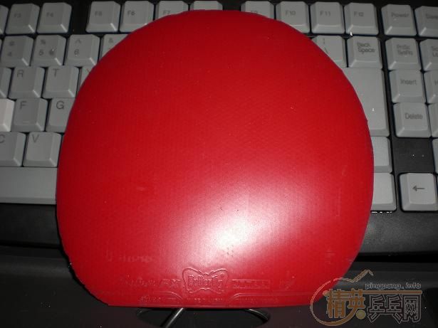 ���ѳ���9���µ��л�EG,FL�ֱ����ͺ�ɫSRIVER  FX,320Ԫ�����