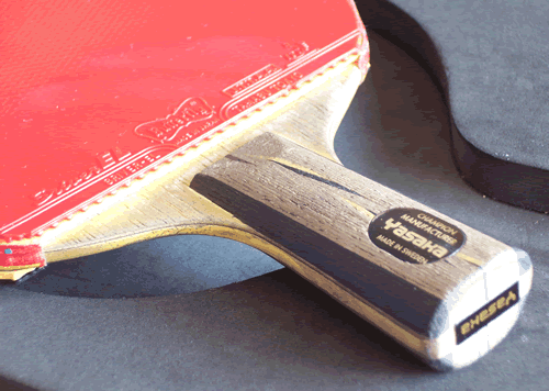 �����ѳ�YCA��