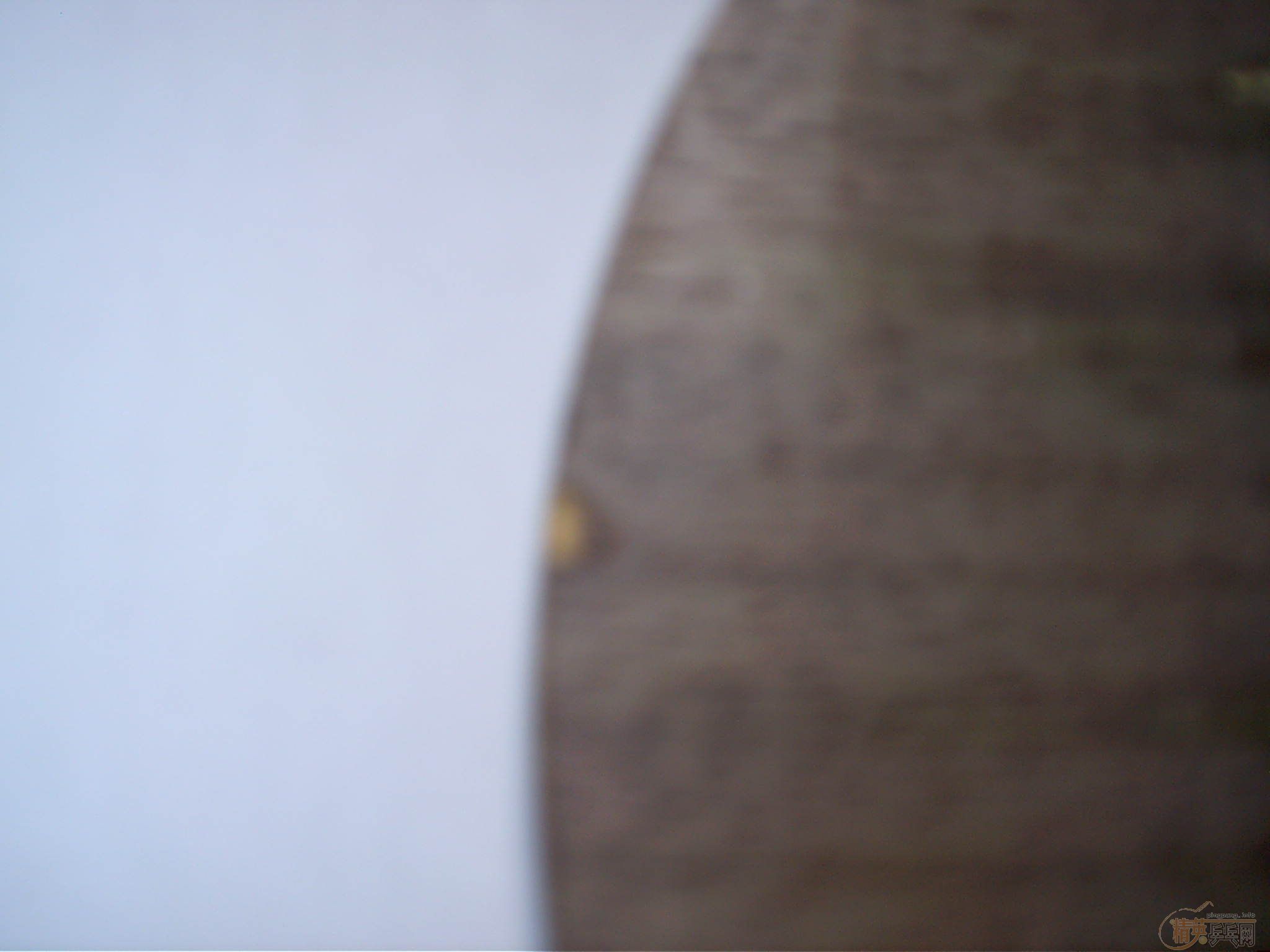 ������ֱOC