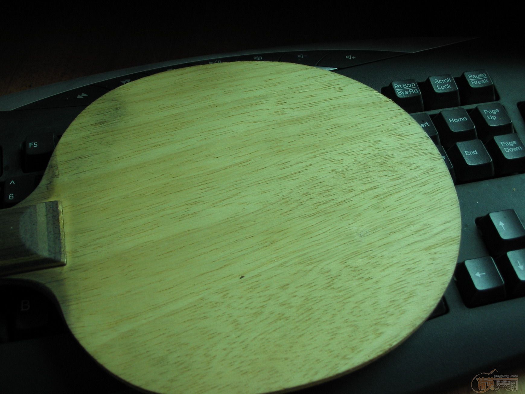 CL-ST9.8���º��Ͽ�-ST����!