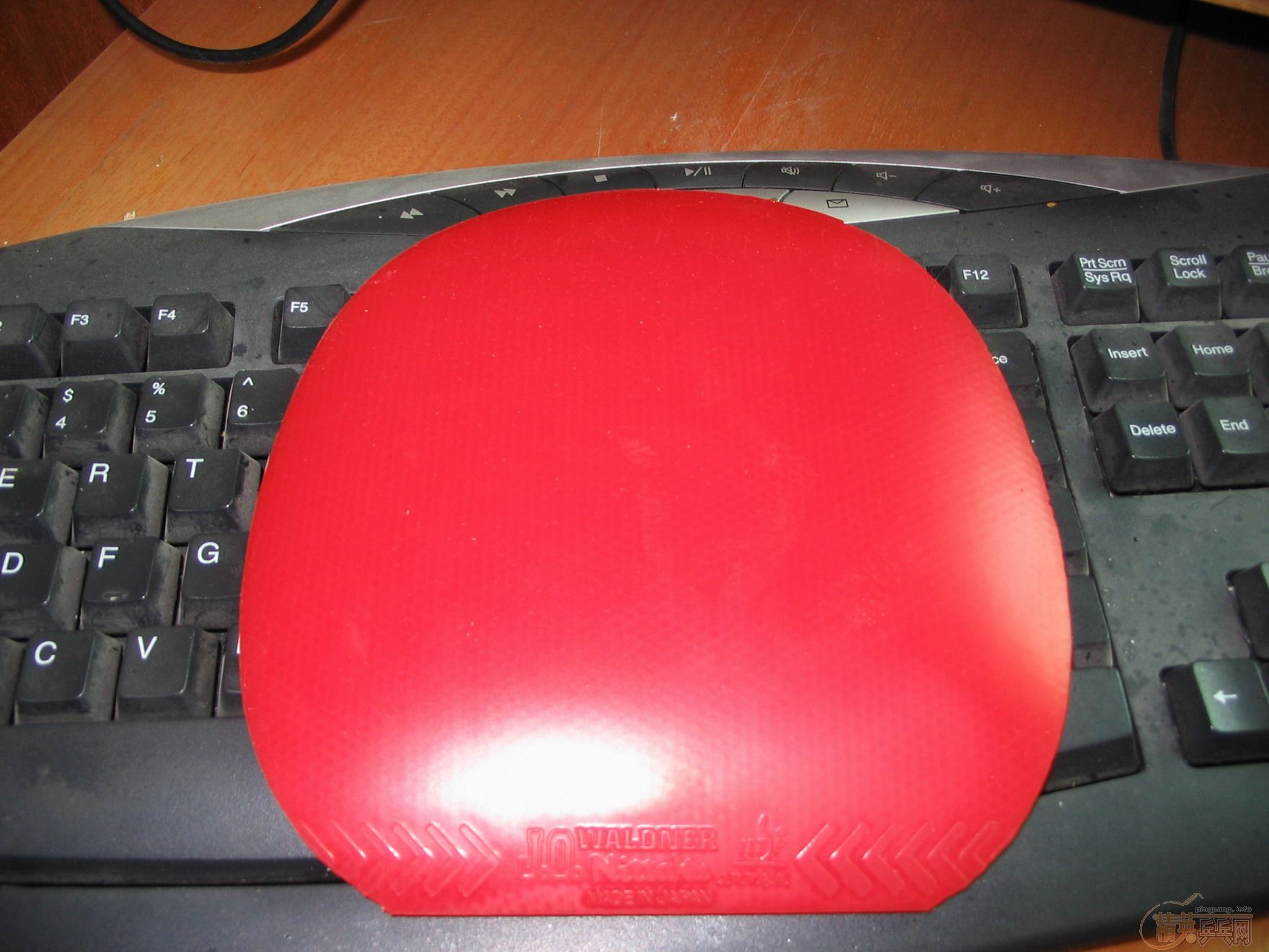 CL-ST9.8���º��Ͽ�-ST����!