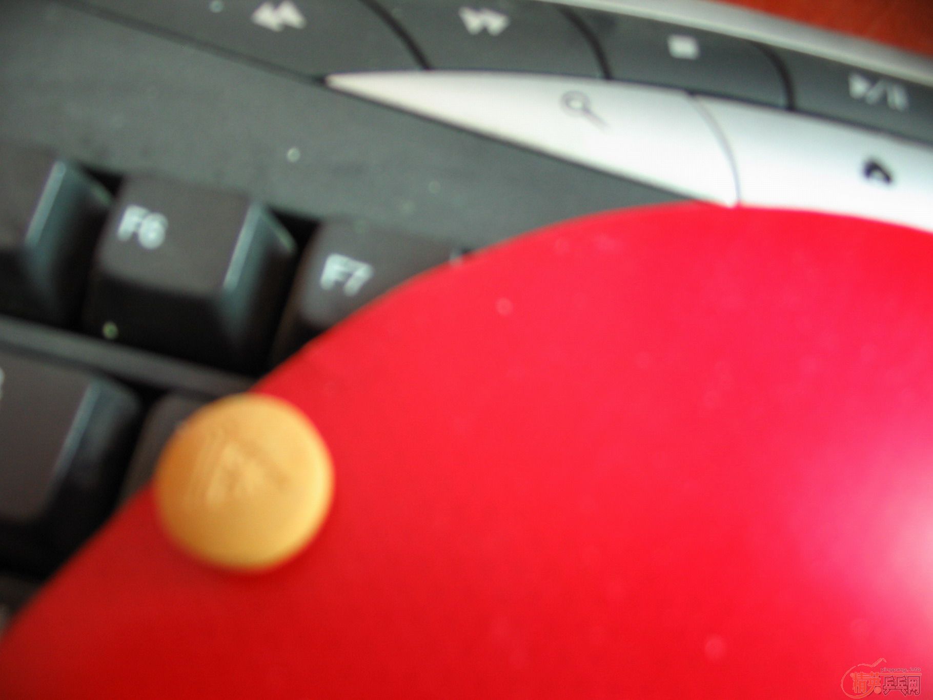 CL-ST9.8���º��Ͽ�-ST����!