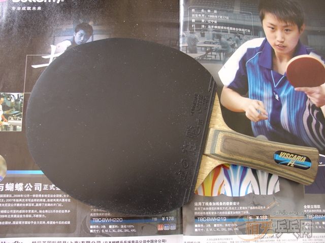 ��visȫ������(����ͼ��