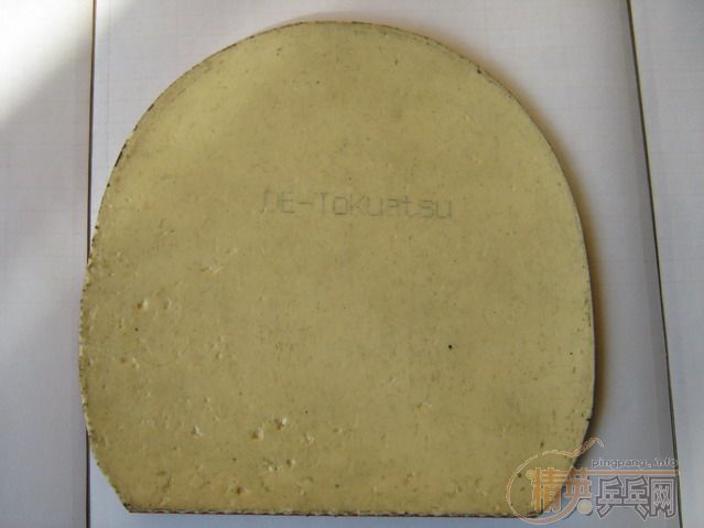 ��VIS,��������,ͨ������.�������BRYCE-FX,560Ԫ������