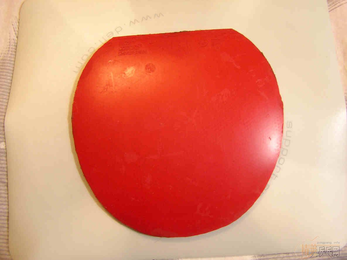 ���齺Ƥ���˳��ˣ��������׶��У�