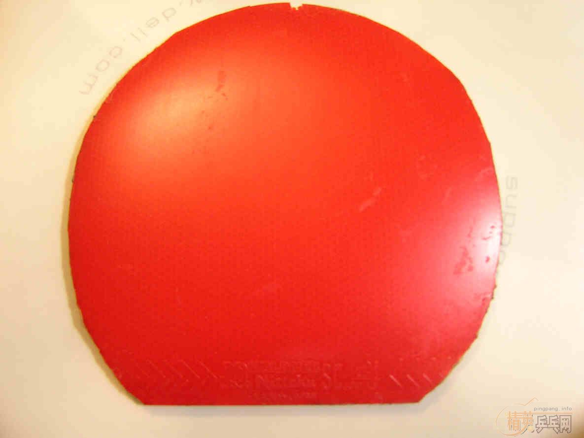 ���齺Ƥ���˳��ˣ��������׶��У�