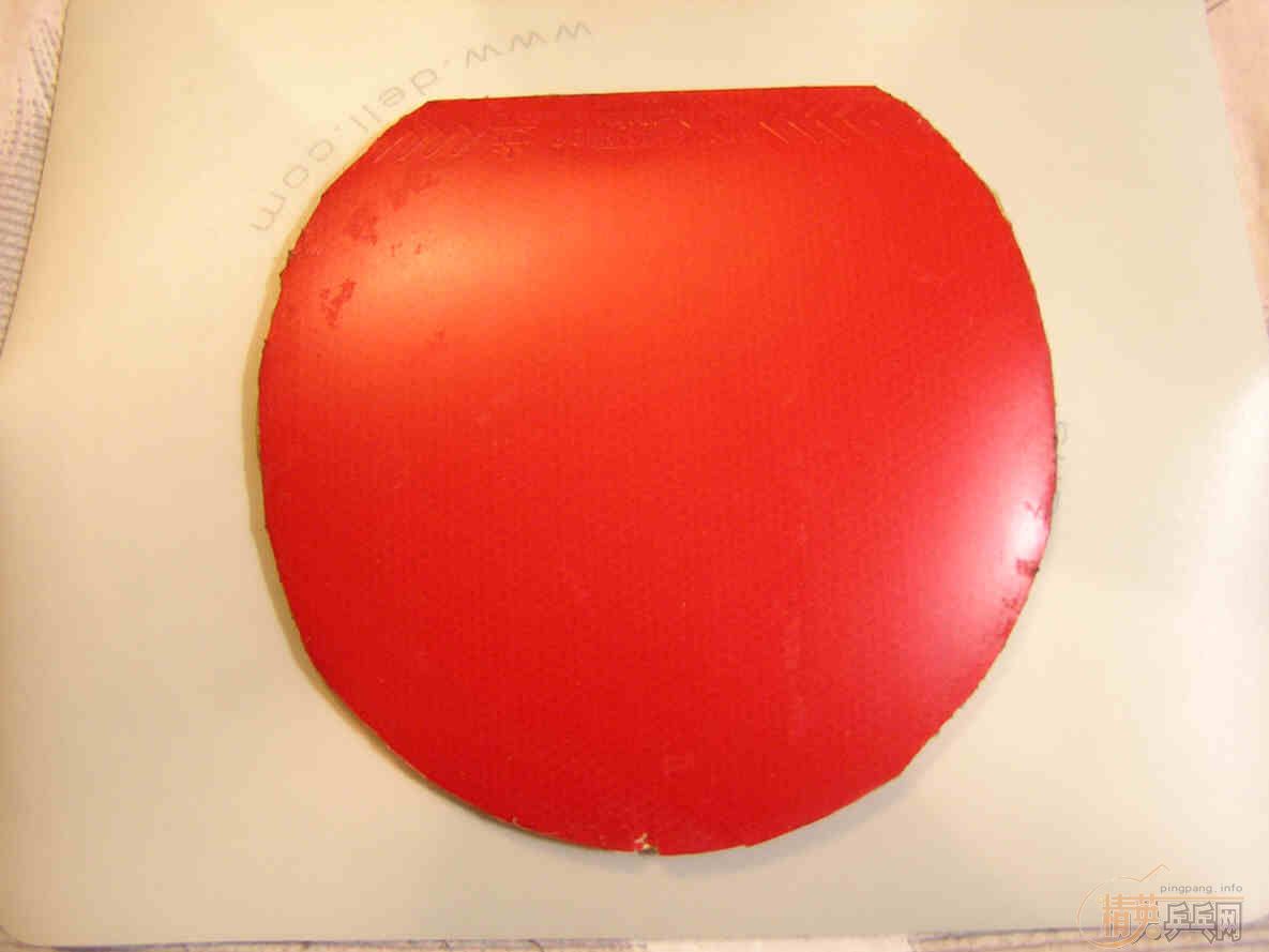 ���齺Ƥ���˳��ˣ��������׶��У�