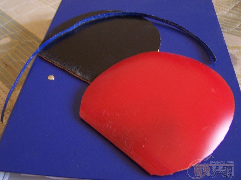 ��ľ���� ͦ�ΰ����� 300�����