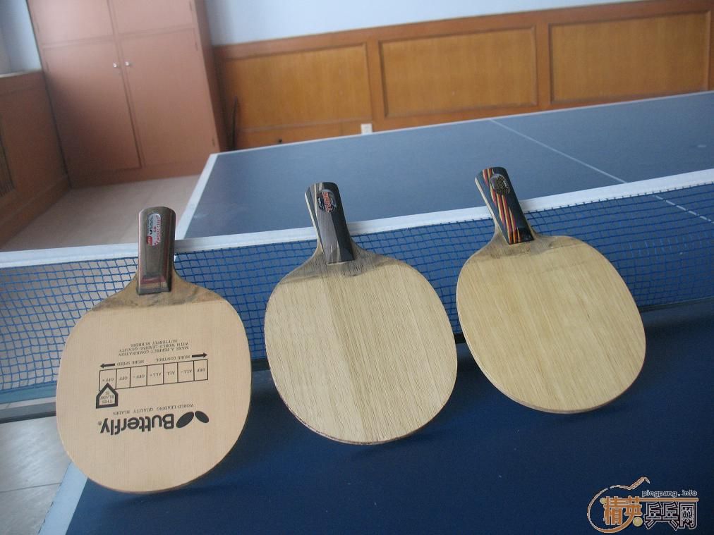 9.5����̼��������