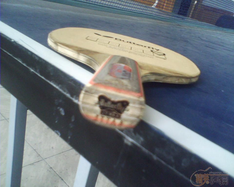 9.5����̼��������