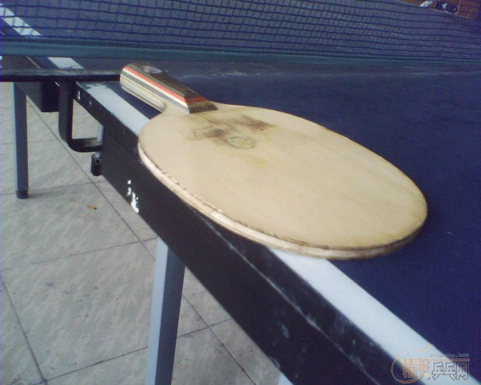 9.5����̼��������