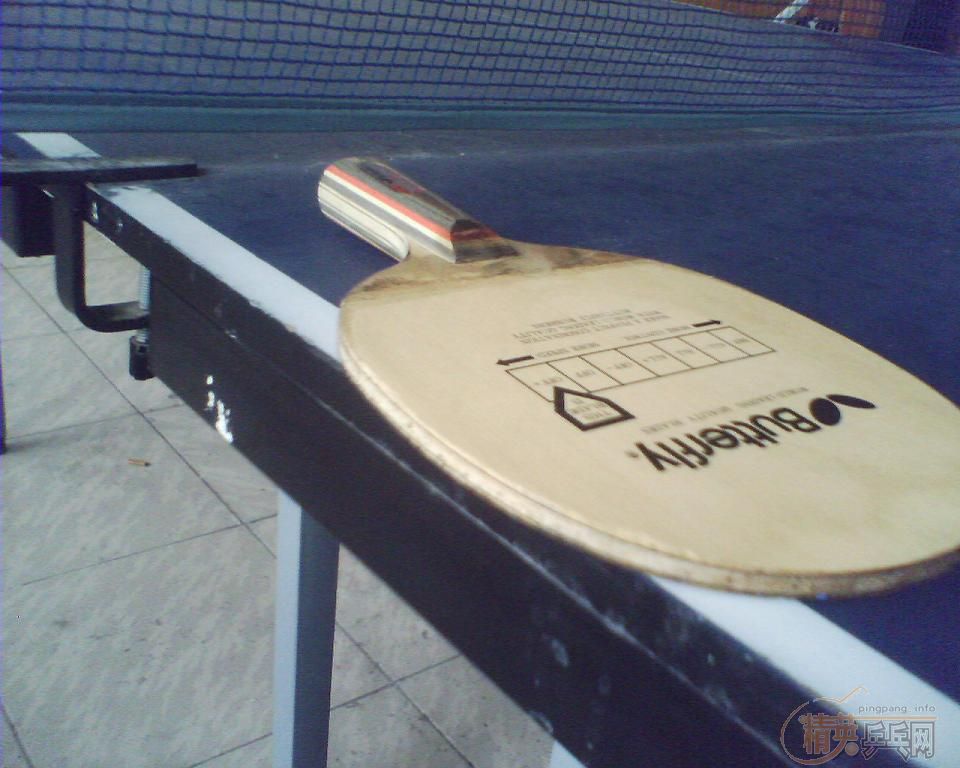 9.5����̼��������