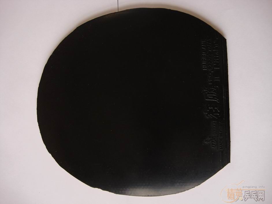 NITTAKU2  39  ڻʡ40