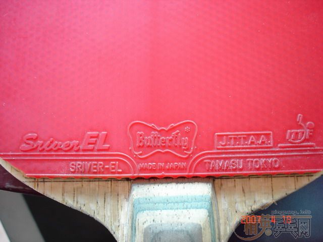 ������׽�