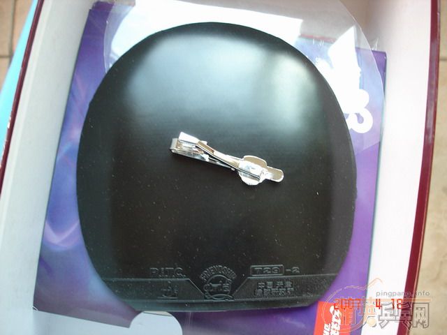 ������׽�